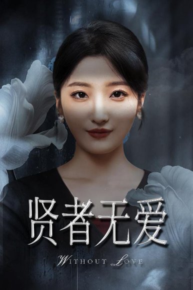 贤者无爱（42集）马维丽&侯伟杰 高清完整版