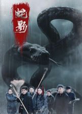 蛇影（25集）刘灵&闫一英 高清完整版