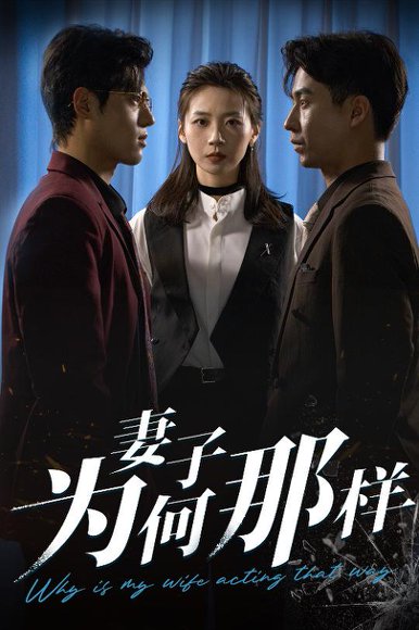妻子为何那样（60集）杜星瑶&刘磊 高清完整版